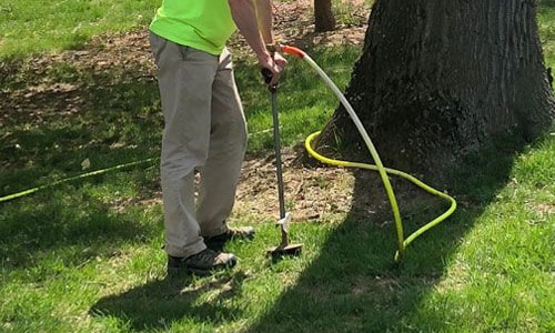 services-deeproot-img-min Rick's Plant Health Care Deep Root Feeding Tree Care