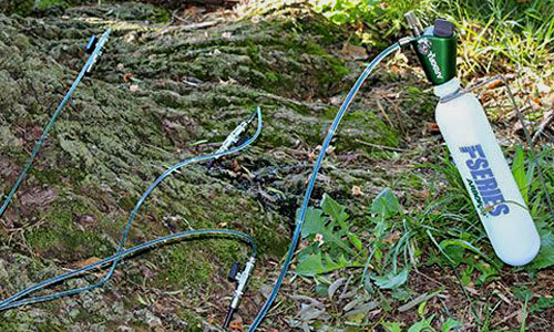 Photo of the Tree Injection Process