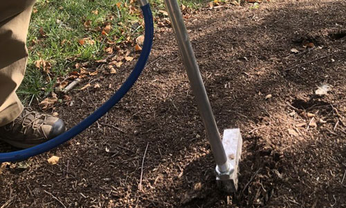Tree Care Services Tree Care Services