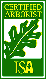 Tree Doctor Tree Doctor